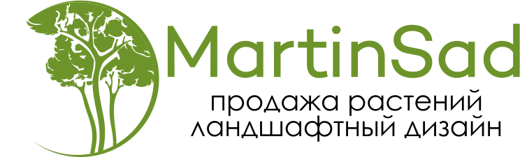 Mobile logo Martin
