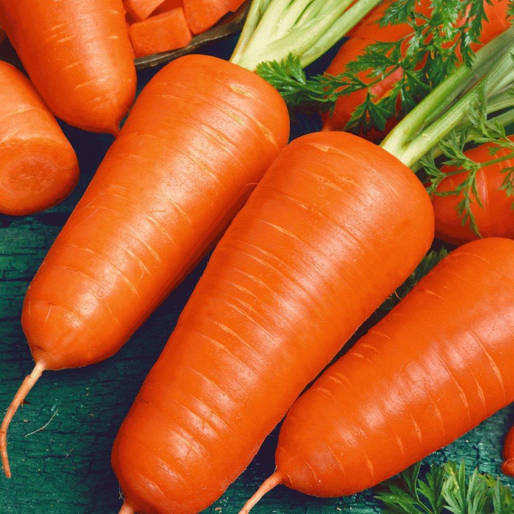 Семена моркови Шантане