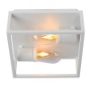 CARLYN Ceiling Light Bathroom 2x E14/6W White фото 1 