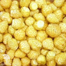 Земляника Желтое чудо - семена