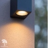 ZARO Wall spotlight Outside  2xgu  Black фото 2 