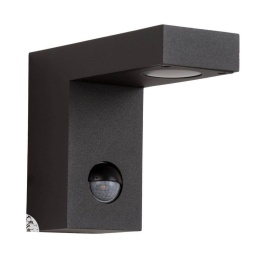 TEXAS-IR Wall Light IP54 H12 L15 LED 6W Anthracite