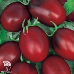 Томат Царевна-лягушка +Черный мавр (серия Дуэт)