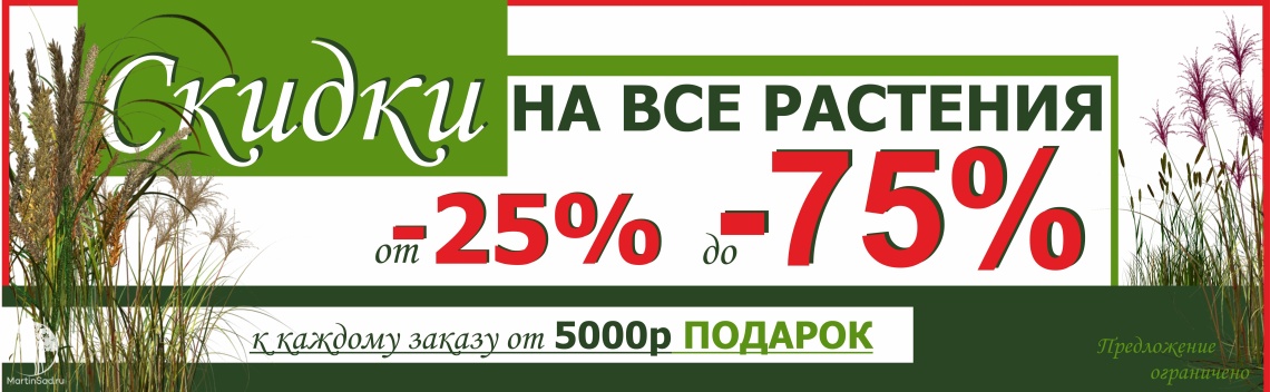 до 50% акция 2024