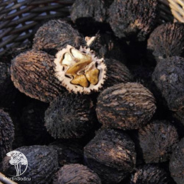 Чёрный орех