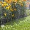 Шланг-дождеватель Gardena зеленый 7,5м фото 2 