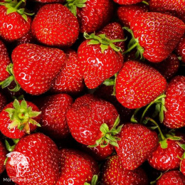 Земляника Огородница F1 (крупноплодная ремонтант.,клубника)