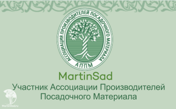 Мартин-сад - участник Ассоциации Производителей Посадочного Материала