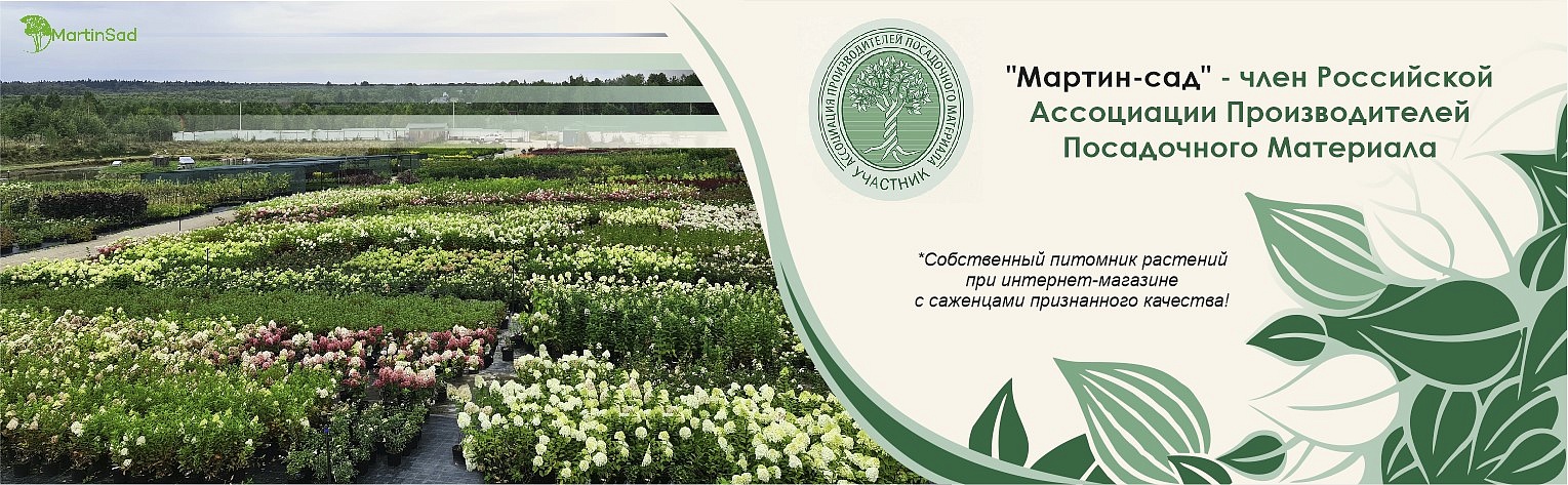АППМ