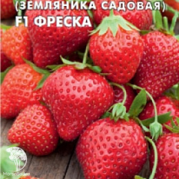 Земляника Фреска F1 (крупноплодная ремонтант.,клубника)