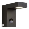 TEXAS-IR Wall Light IP54 H12 L15 LED 6W Anthracite фото 2 